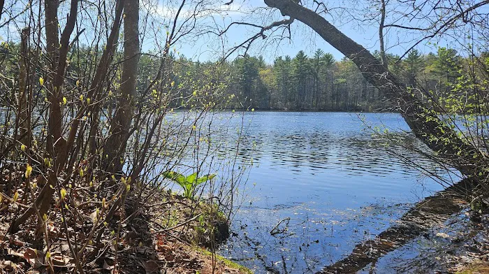 Hopeville Campground Picture 2