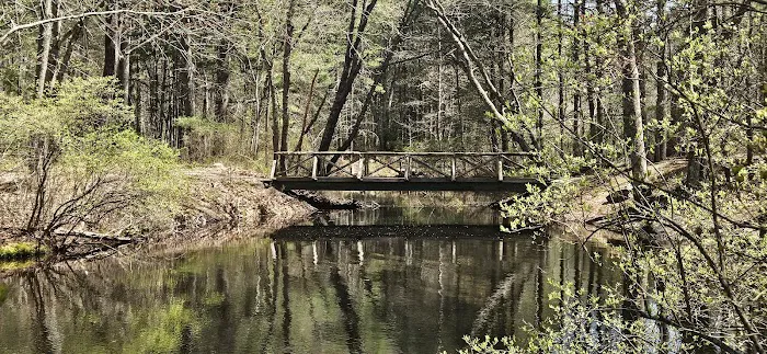 Hopeville Campground Picture 4