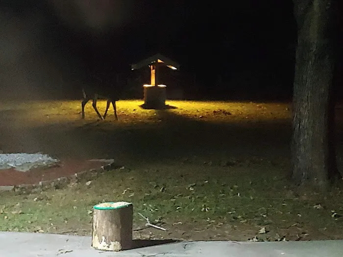 Countryside Campground Picture 4