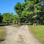 Frog Hollow Horse Camp