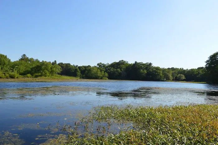 Nature's Campsites Picture 2