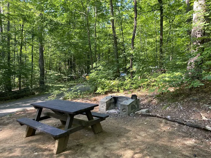 Hearthstone Point Campground Picture 3