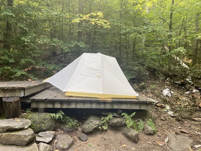 Little Rock Pond Shelter Picture 4