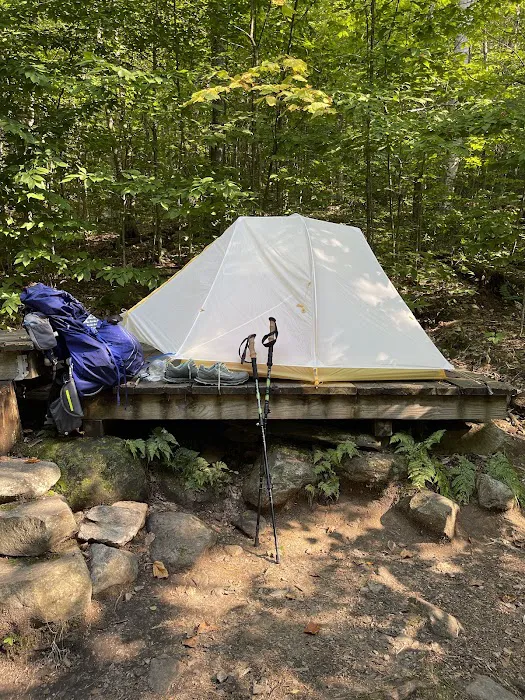 Little Rock Pond Shelter Picture 2