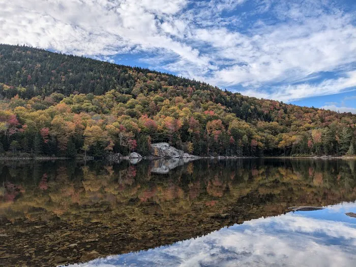 Little Rock Pond Shelter Picture 3