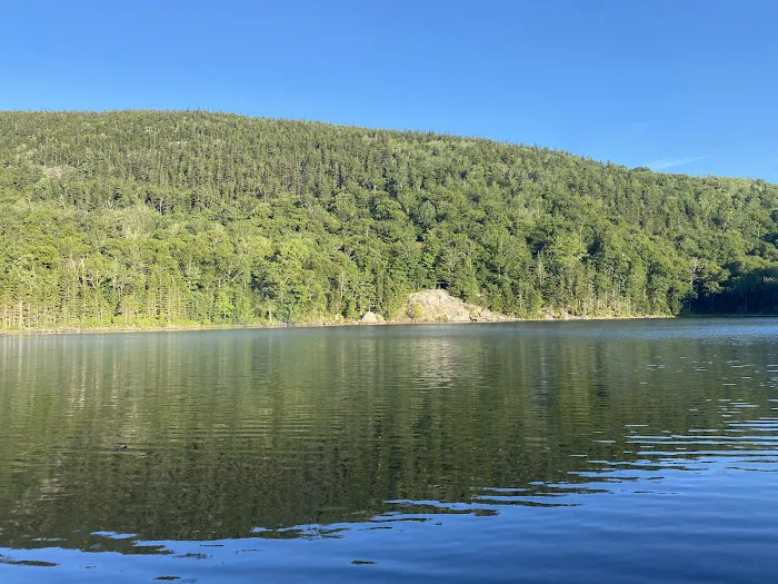 Little Rock Pond Shelter Picture 6