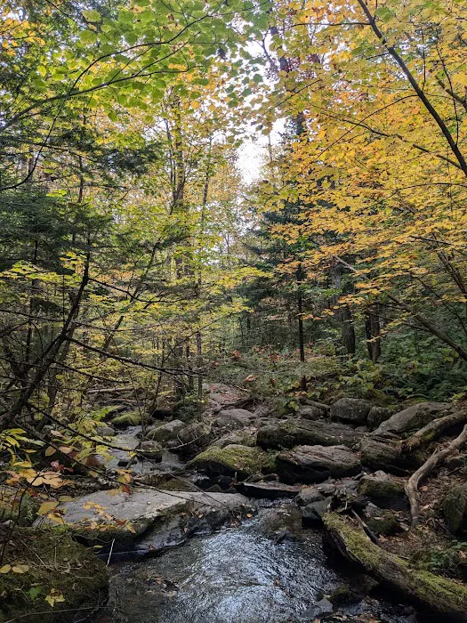 Little Rock Pond Shelter Picture 7