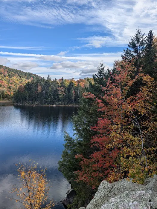 Little Rock Pond Shelter Picture 5