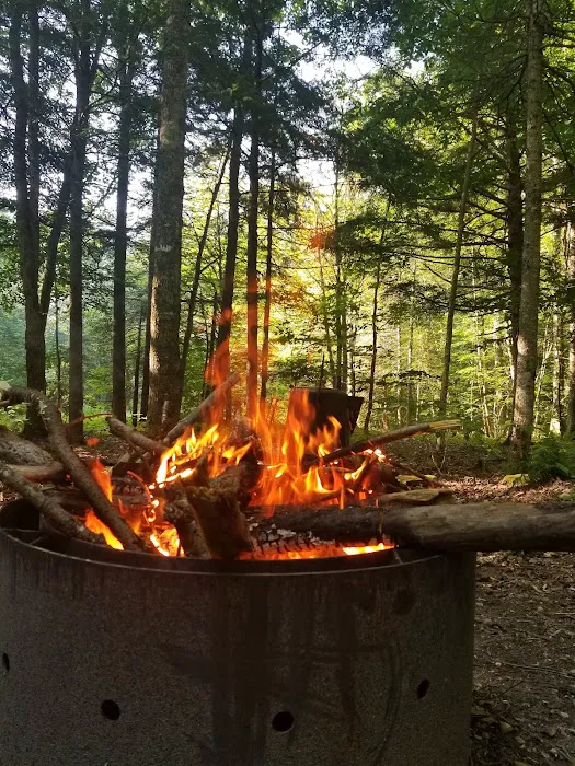 Greendale Campground Picture 7