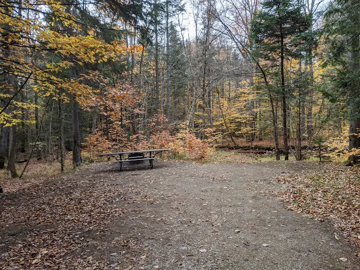 Greendale Campground Picture 2