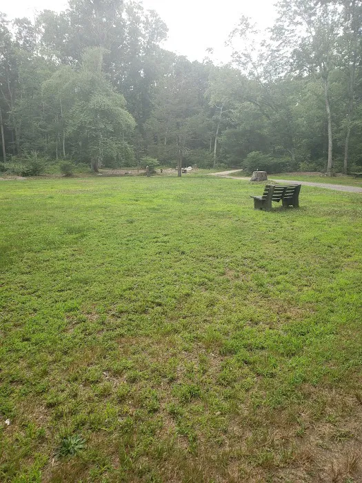 Mashomouquet Campground Picture 1