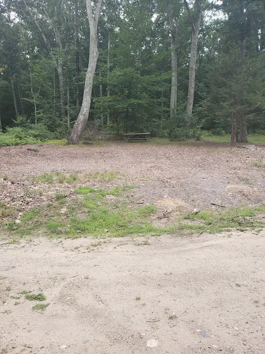 Mashomouquet Campground Picture 2