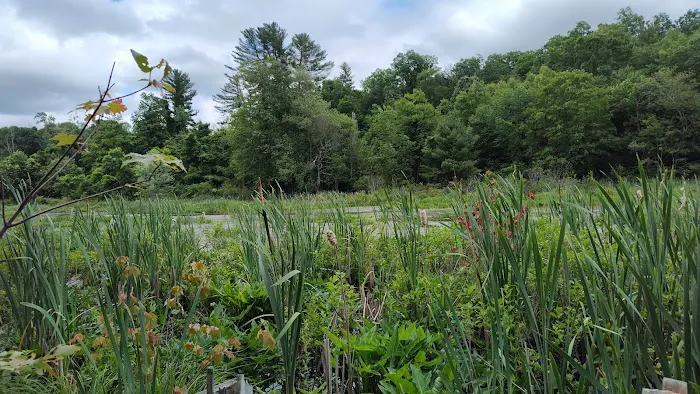 Wolf Den Campground Picture 2