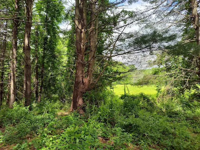 Wolf Den Campground Picture 9