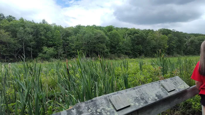 Wolf Den Campground Picture 4