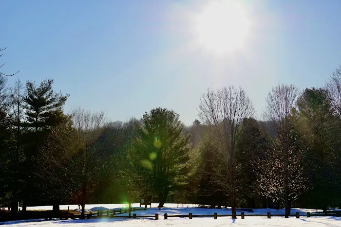 Wolf Den Campground Picture 6