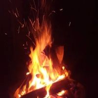 Meadowside Woodstock Inc ico