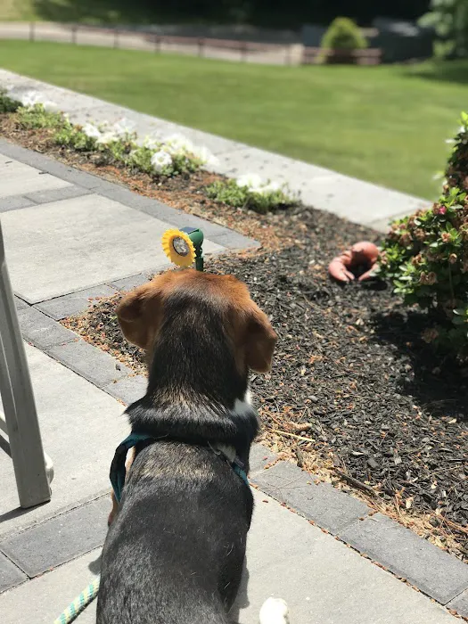 Meadowside Woodstock Inc Picture 10