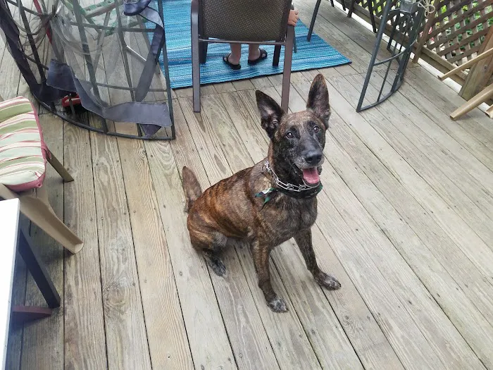 Meadowside Woodstock Inc Picture 8