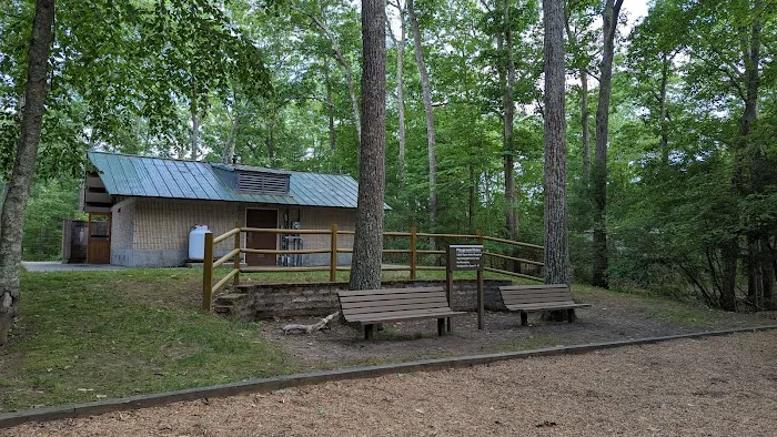 West Thompson Lake Campground Picture 8