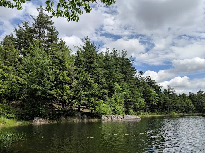 Gilson Pond Campground Picture 7