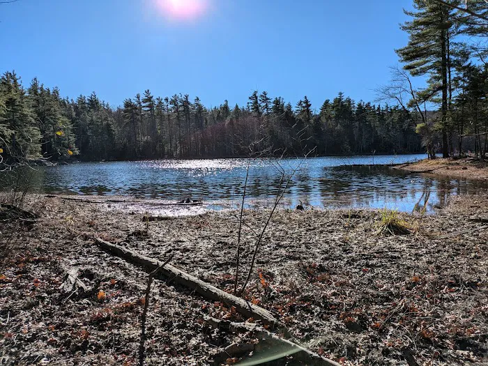 Gilson Pond Campground Picture 3