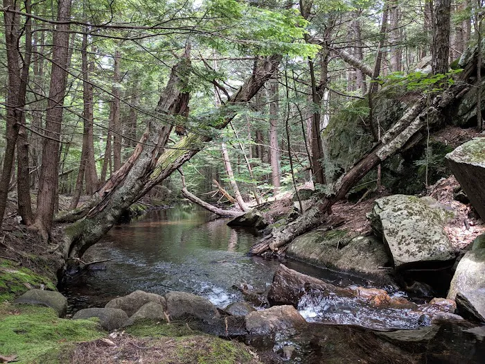 Gilson Pond Campground Picture 6