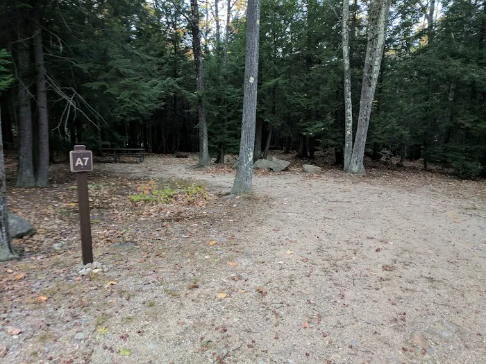 Gilson Pond Campground Picture 9