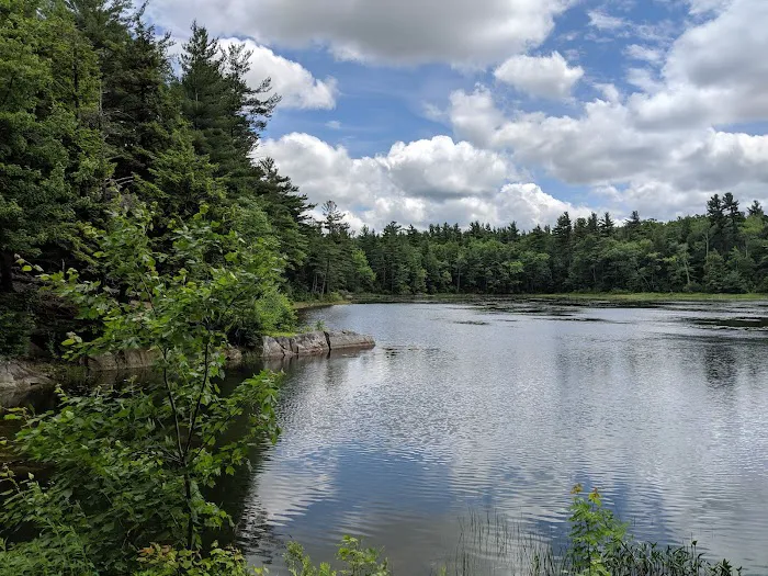 Gilson Pond Campground Picture 5