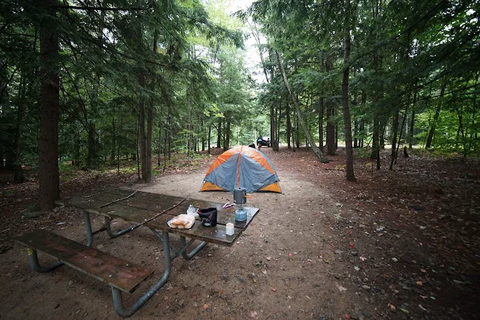 Gilson Pond Campground Picture 1