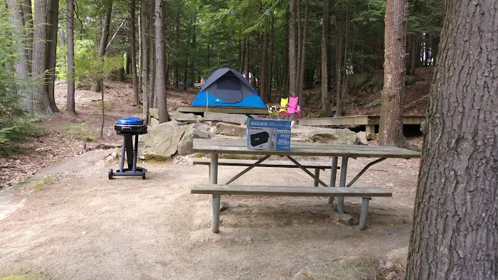 Gilson Pond Campground Picture 2