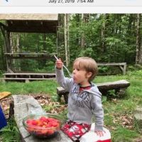 Bear Hollow Camp ico