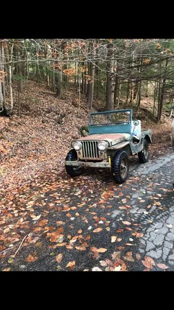 Bear Hollow Camp Picture 7