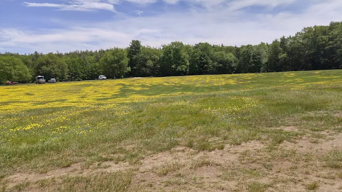Field & Forest Recreation Area Picture 3