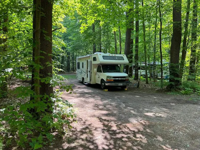 Tree Farm Campground Picture 2