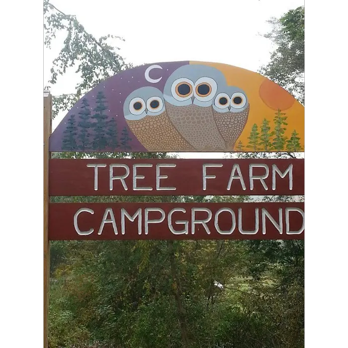 Tree Farm Campground Picture 10
