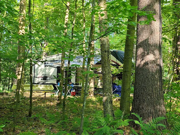 Tree Farm Campground Picture 9