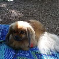 Lake Dean Campground LLC ico
