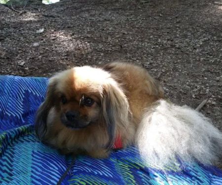 Lake Dean Campground LLC