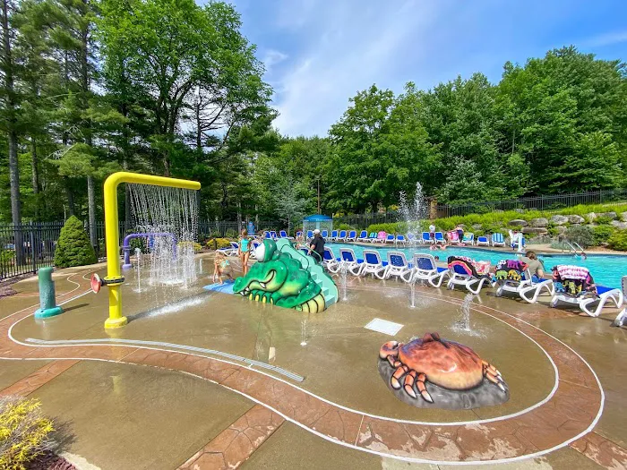 Pine Acres Family Camping Resort Picture 9