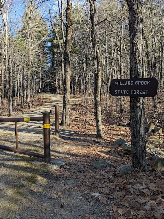 Willard Brook State Forest Campground Picture 9