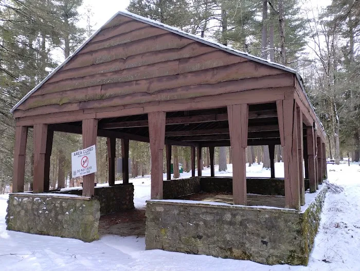 Willard Brook State Forest Campground Picture 1
