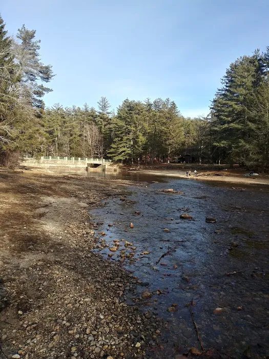 Willard Brook State Forest Campground Picture 4