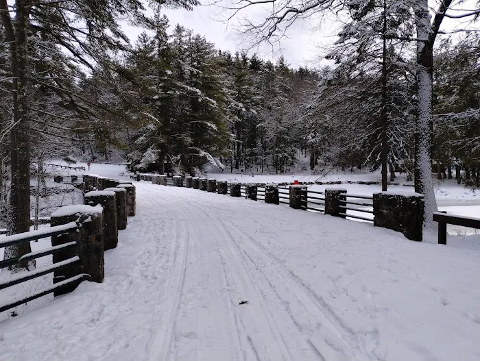 Willard Brook State Forest Campground Picture 3