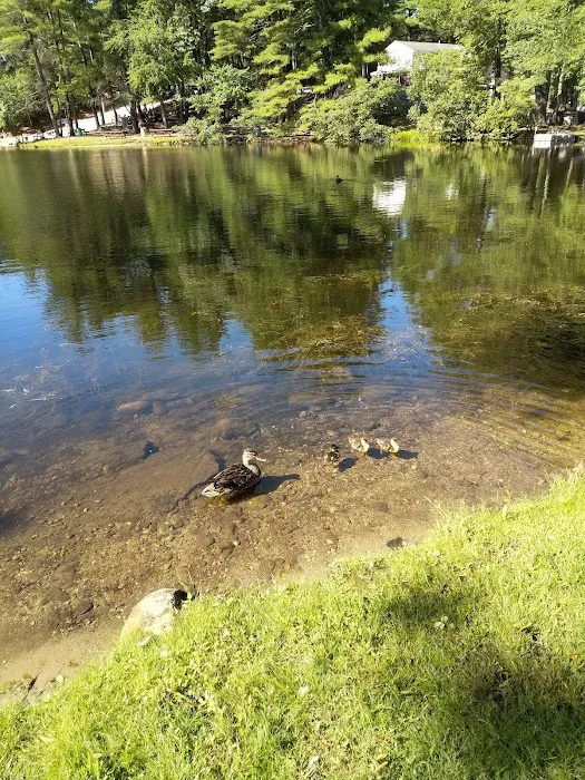 Shady Point Beach & Campground Picture 10