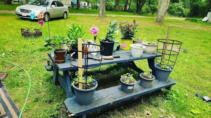 Frontier Camper Park LLC Picture 2