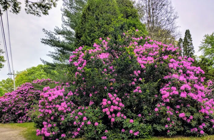 Frontier Camper Park LLC Picture 3