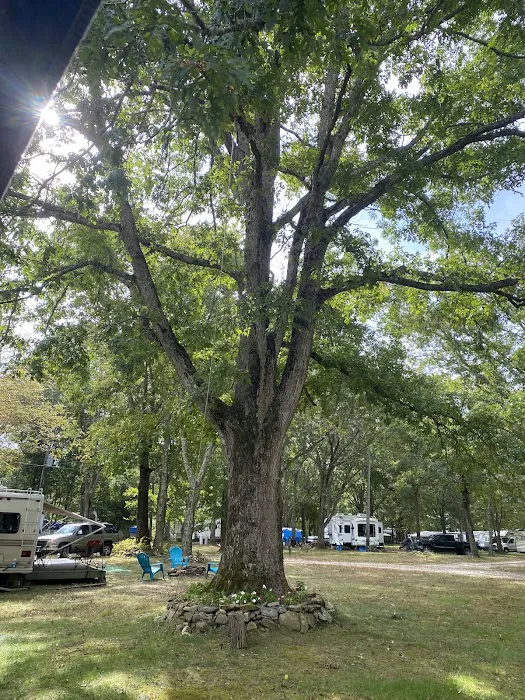 Frontier Camper Park LLC Picture 5