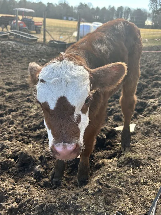 Getaway Ranch and Campsites Picture 9