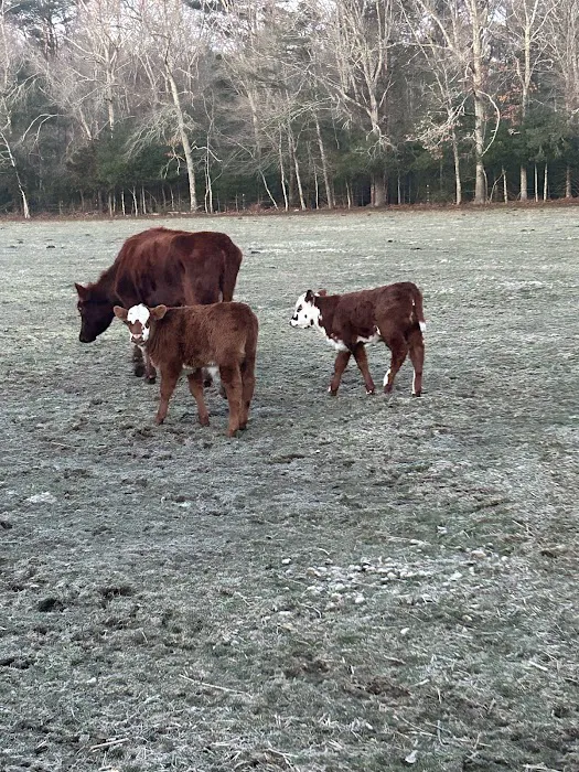 Getaway Ranch and Campsites Picture 8